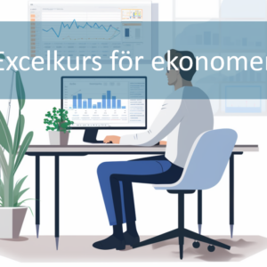 Excelkurs för ekonomer